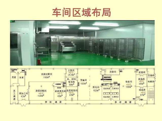 中央廚房專業設計標準要點-中央廚房設計 中央廚房專業設計標準要點-中央廚房設計