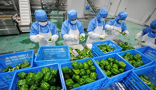 中央廚房設計規范 中央廚房設計規范