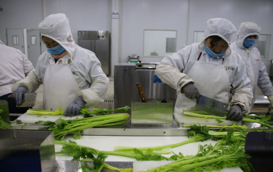 中央廚房投資預算-人力