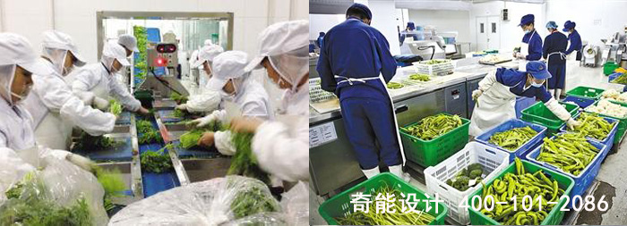 中央廚房設計 中央廚房設計